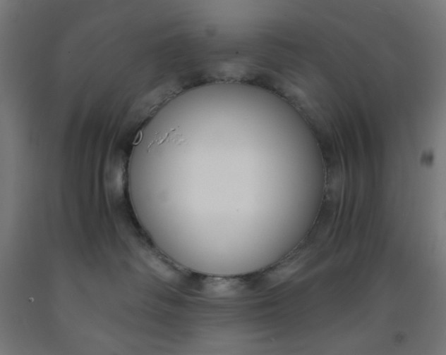 X0000091880334200709261357