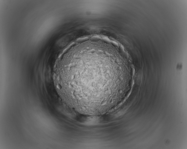 X0000091880335200709261357