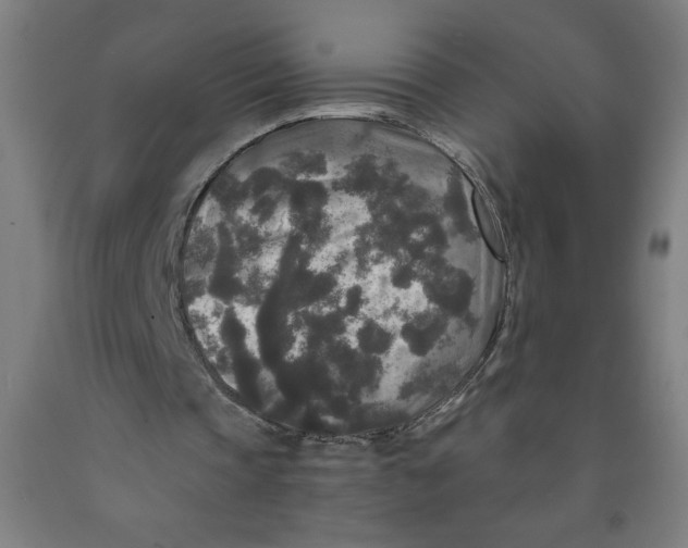 X0000091880337200709261356