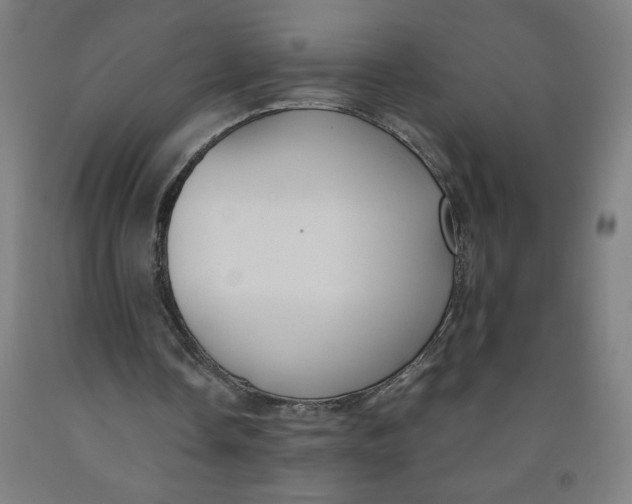 X0000091880338200709261356