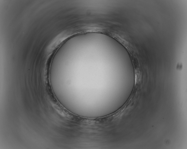 X0000091880339200709261356