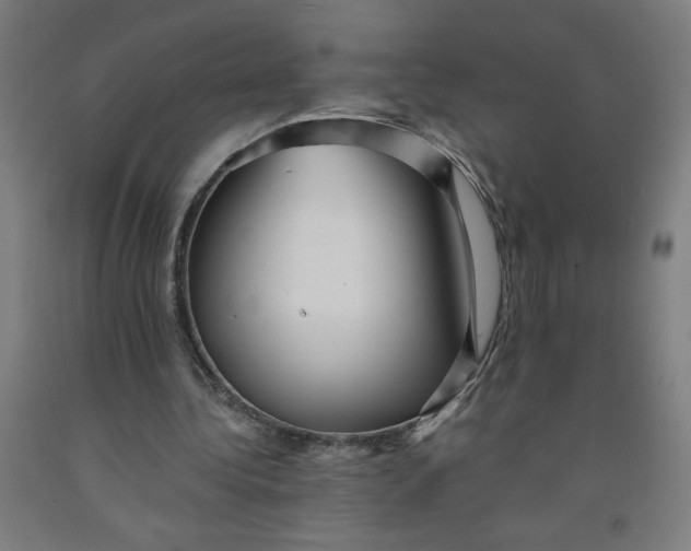 X0000091880340200709261356