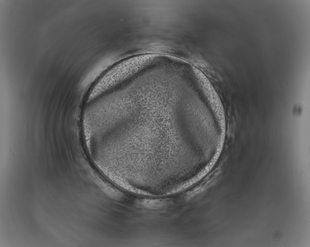 X0000091880341200709261356