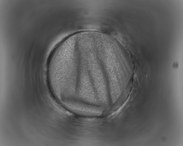 X0000091880342200709261356