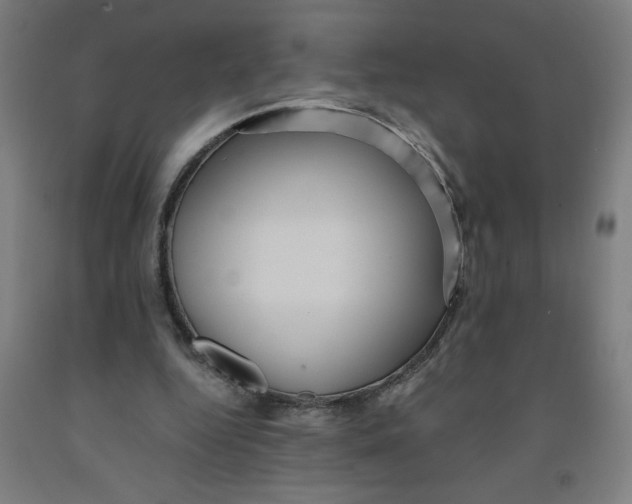 X0000091880344200709261356