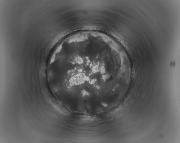 X0000091880347200709261356