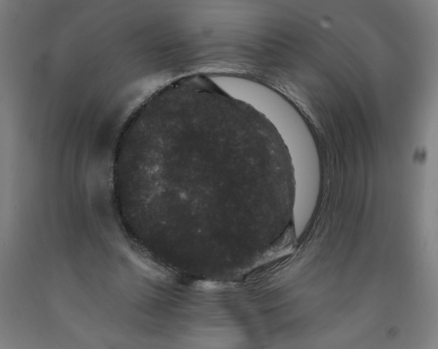 X0000091880348200709261356