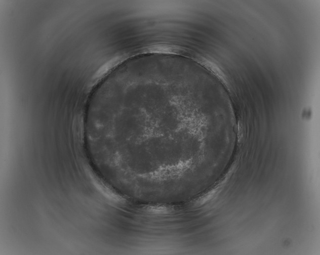 X0000091880349200709261356