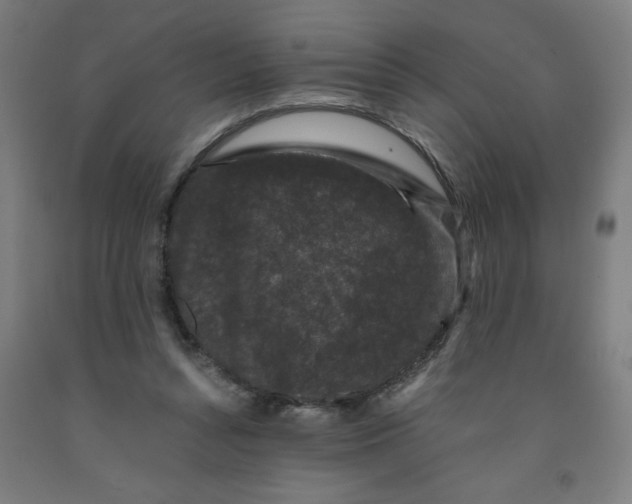 X0000091880352200709261356