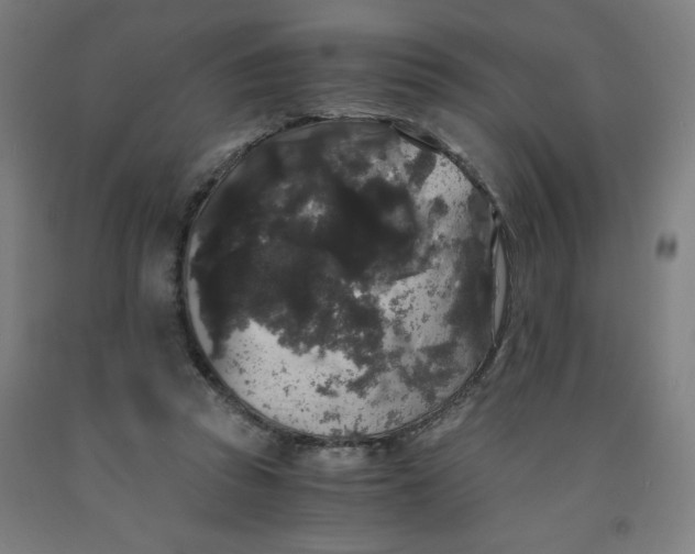 X0000091880353200709261356