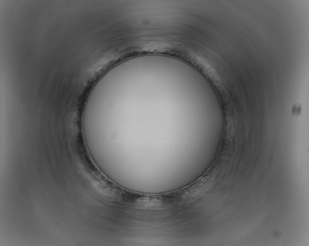 X0000091880354200709261356