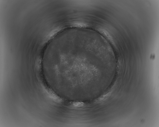 X0000091880355200709261356