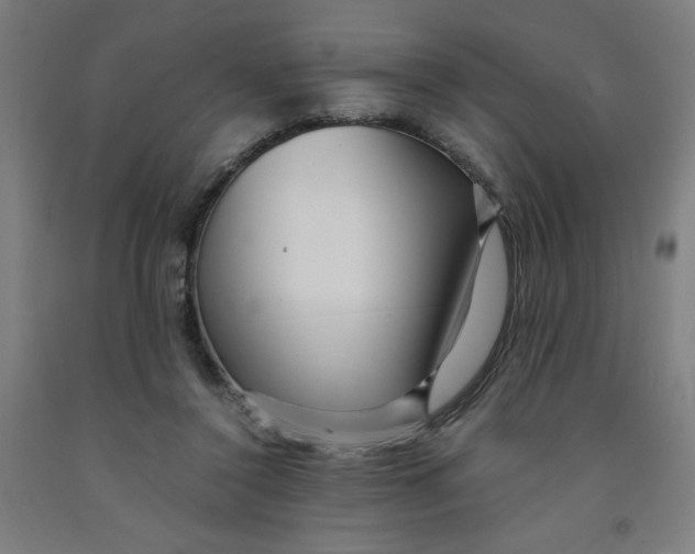 X0000091880356200709261356