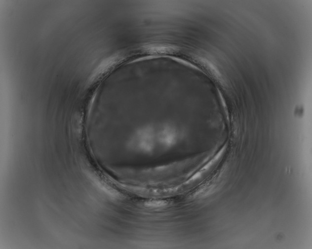 X0000091880357200709261356