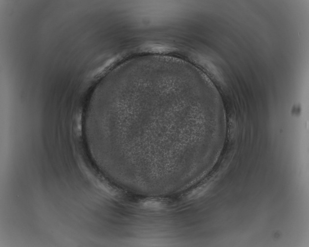 X0000091880358200709261356