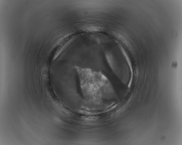 X0000091880359200709261356