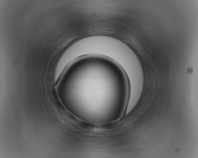 X0000091880360200709261356