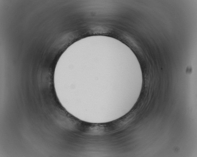 X0000091880362200709261356