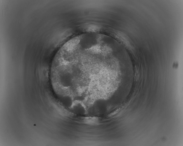 X0000091880363200709261356