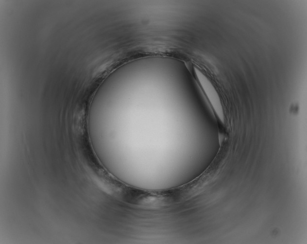 X0000091880364200709261356