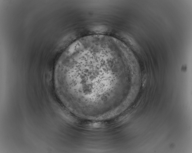 X0000091880365200709261356