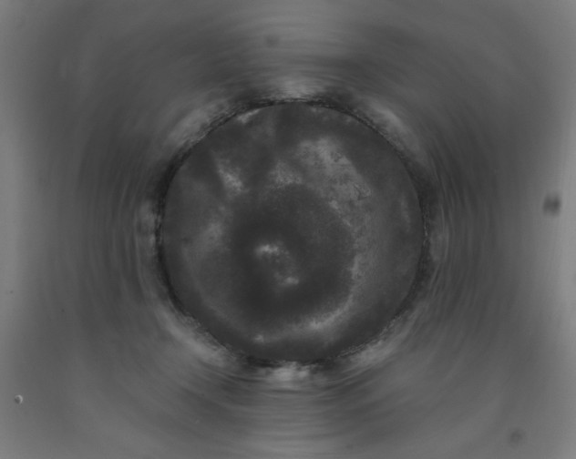 X0000091880366200709261356