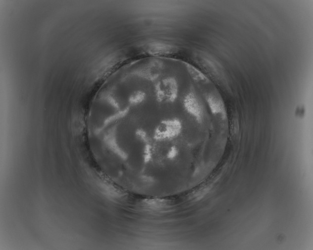 X0000091880367200709261356