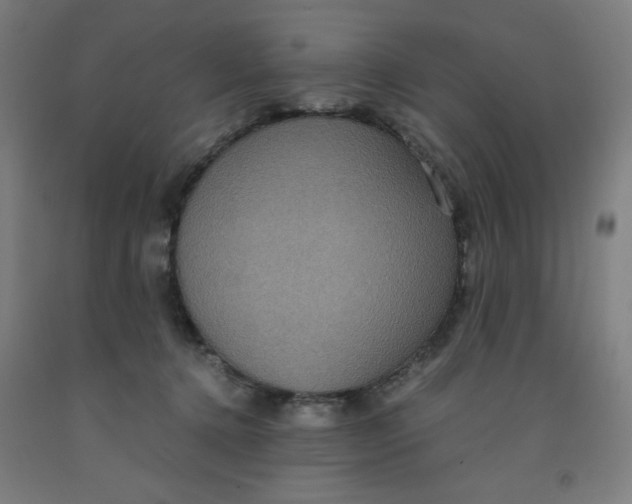 X0000091880368200709261356