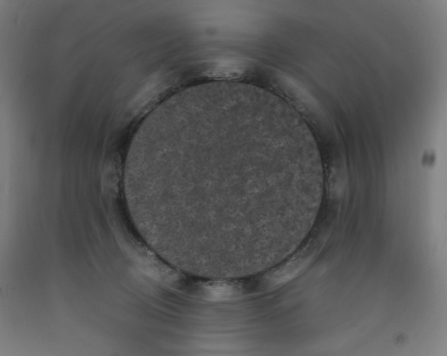 X0000091880370200709261356