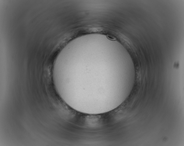 X0000091880373200709261356