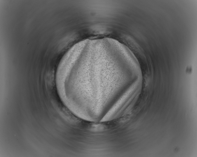 X0000091880376200709261356