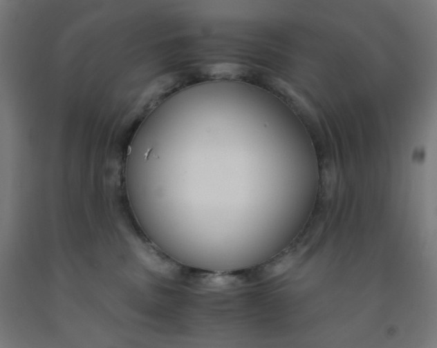 X0000091880379200709261357