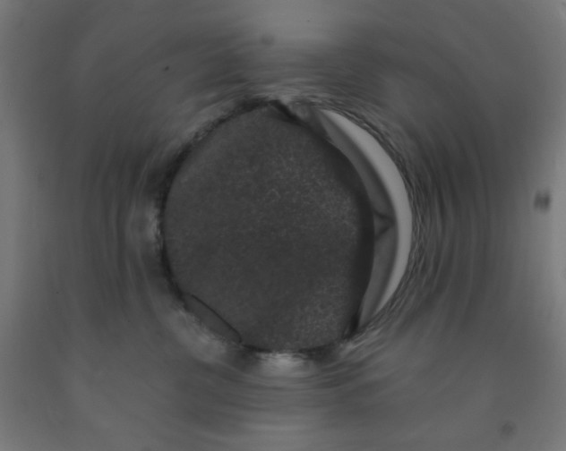 X0000091880380200709261357