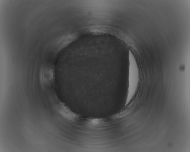 X0000091880382200709261357