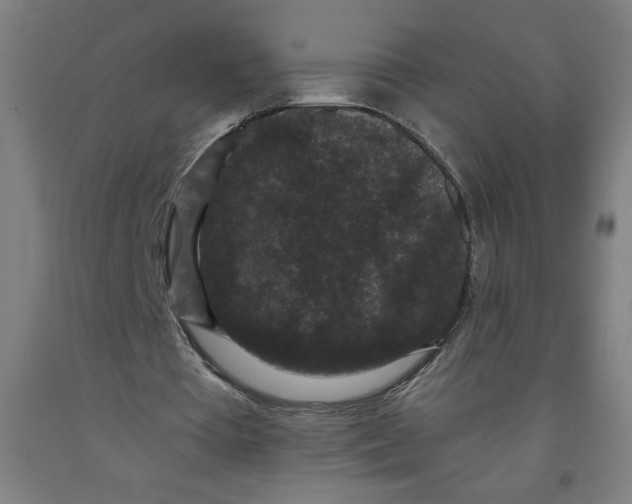 X0000091880385200709261356