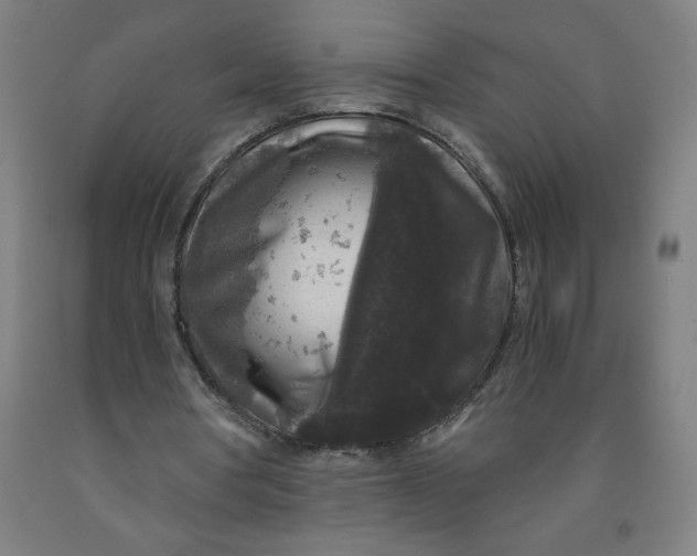 X0000091880386200709261356