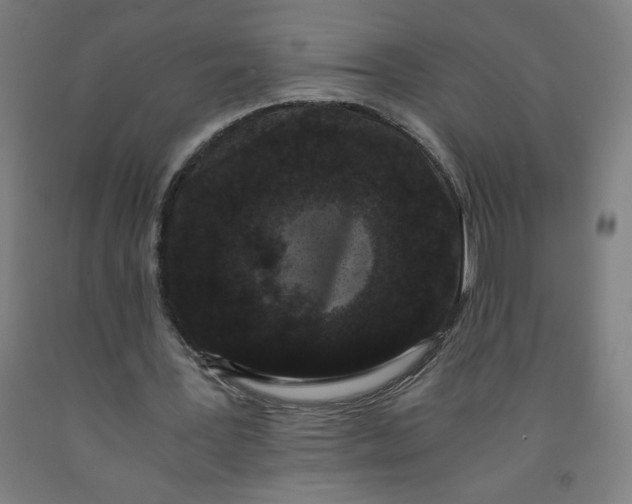 X0000091880387200709261356