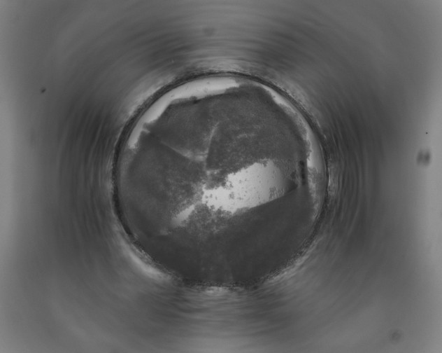 X0000091880390200709261356