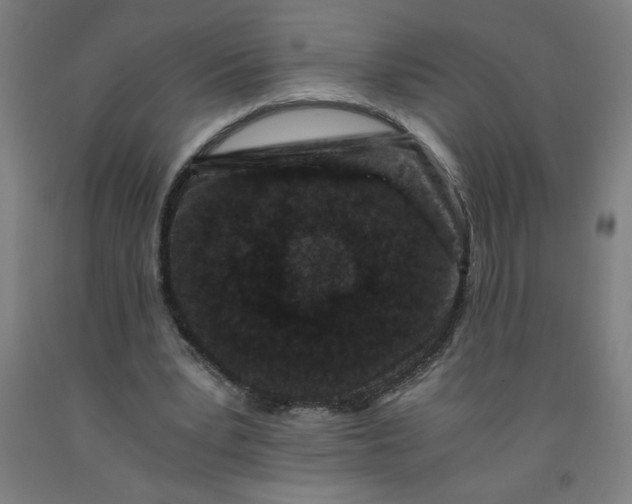 X0000091880391200709261356