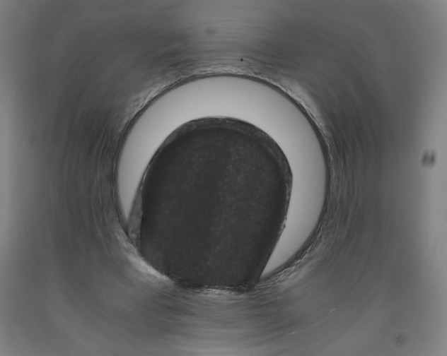 X0000091880393200709261356