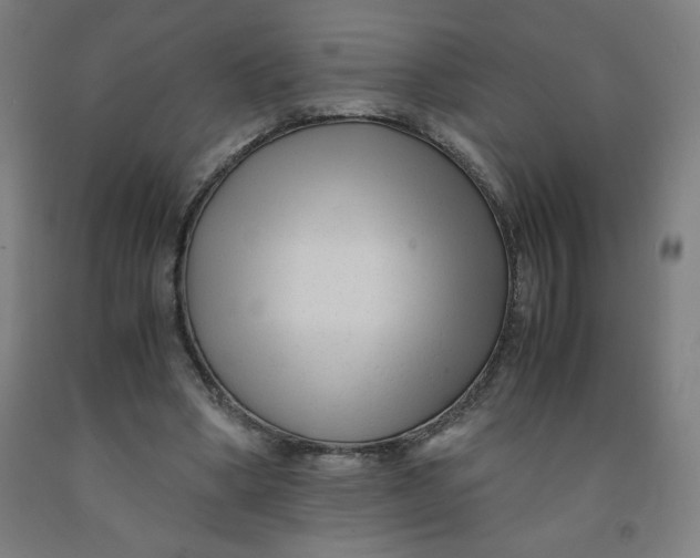 X0000091880394200709261356