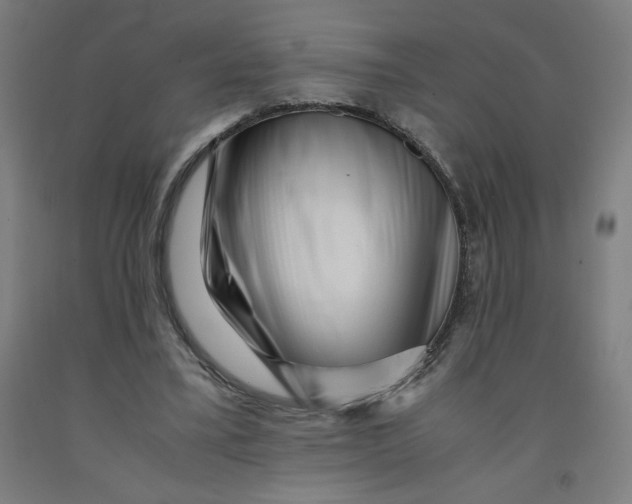 X0000091880395200709261356