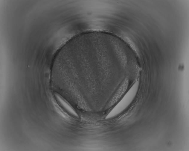 X0000091880397200709261356