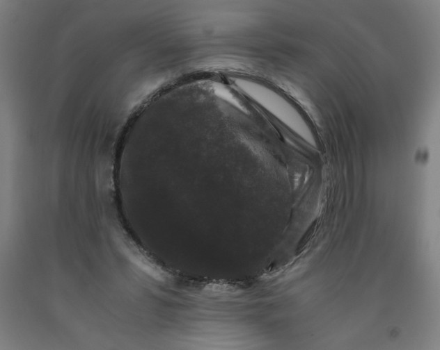 X0000091880399200709261356