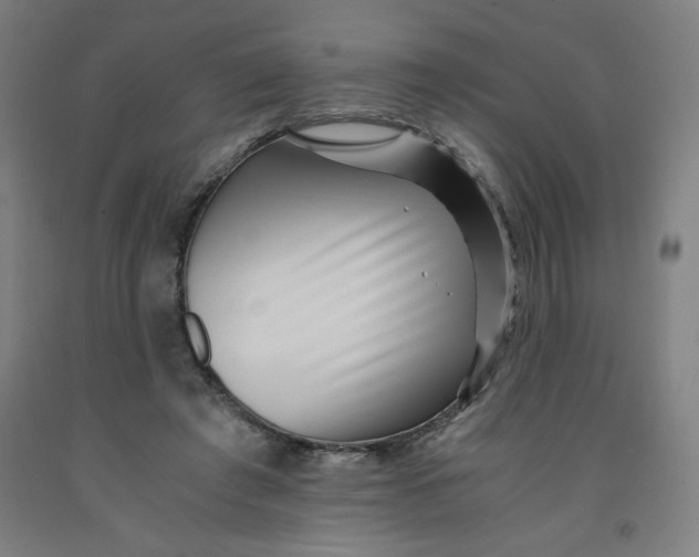 X0000091880401200709261356