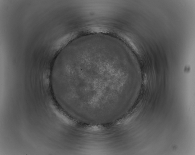 X0000091880402200709261356