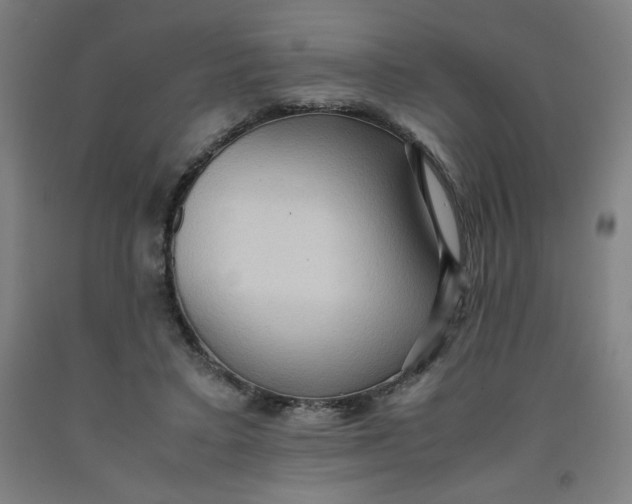 X0000091880403200709261356