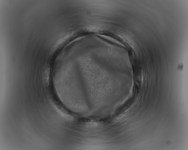 X0000091880404200709261356