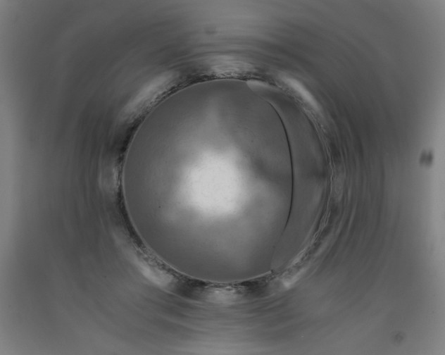 X0000091880405200709261356