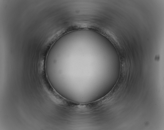 X0000091880406200709261356